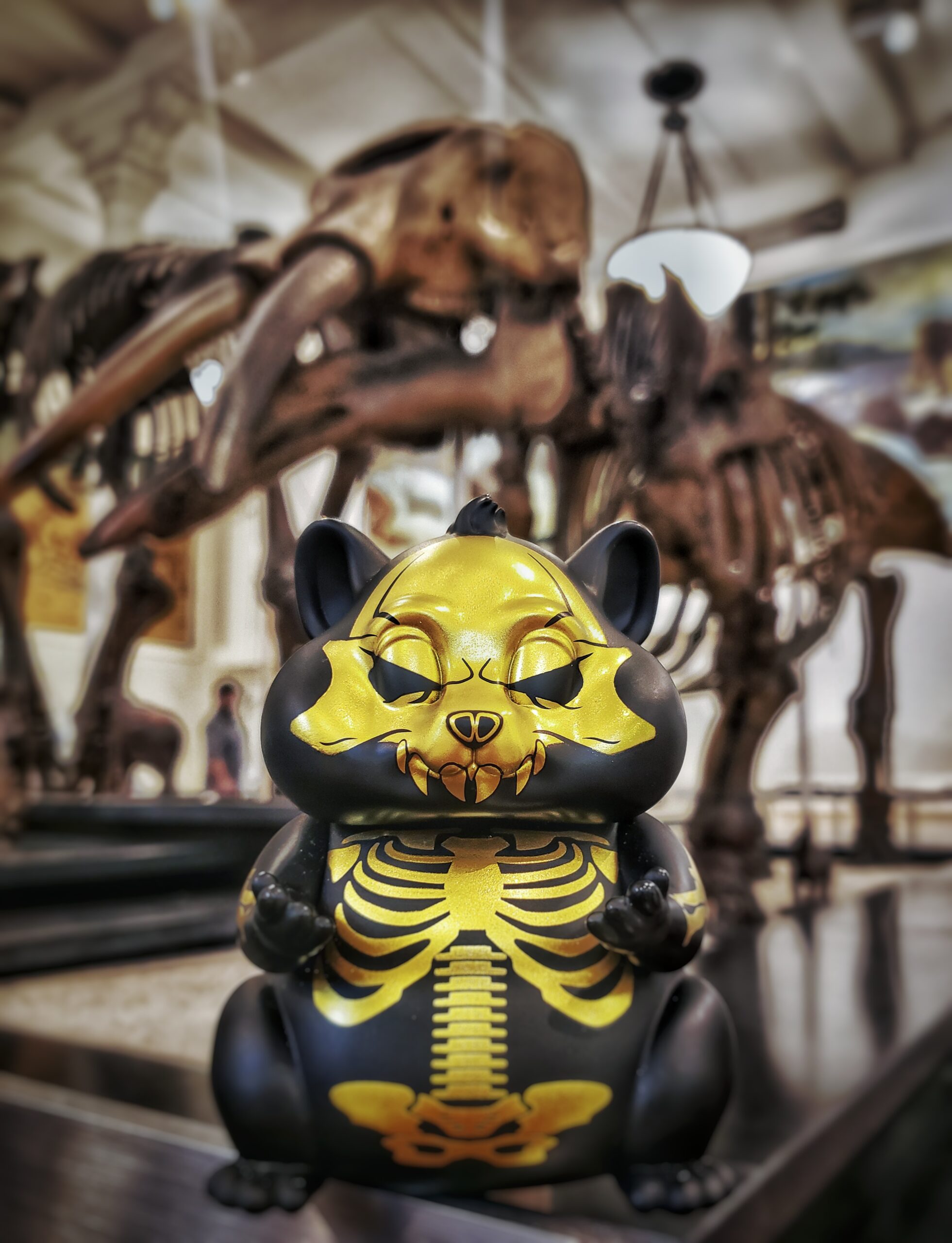 20230627_124527-01-1