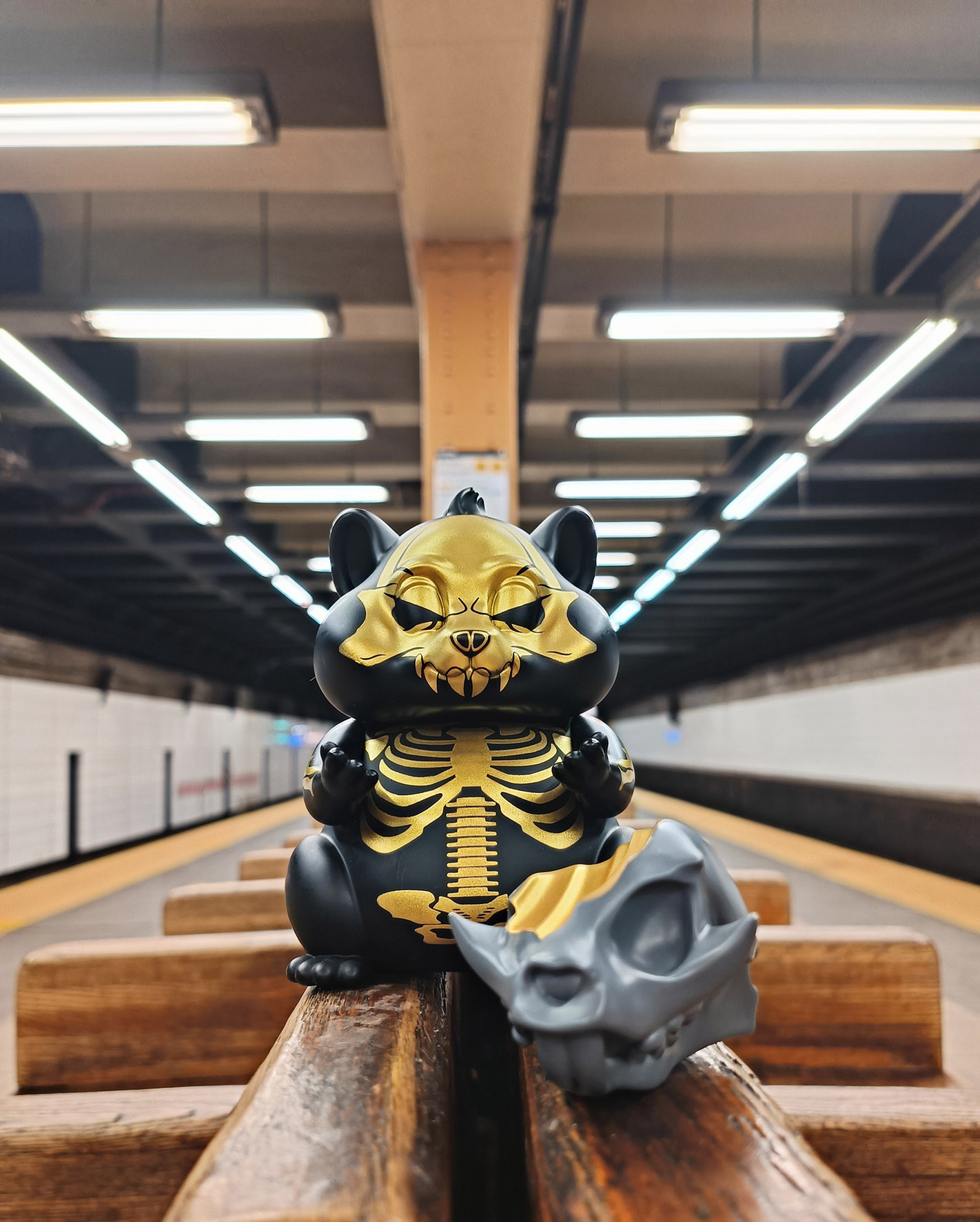 IMG20230512021101a-1